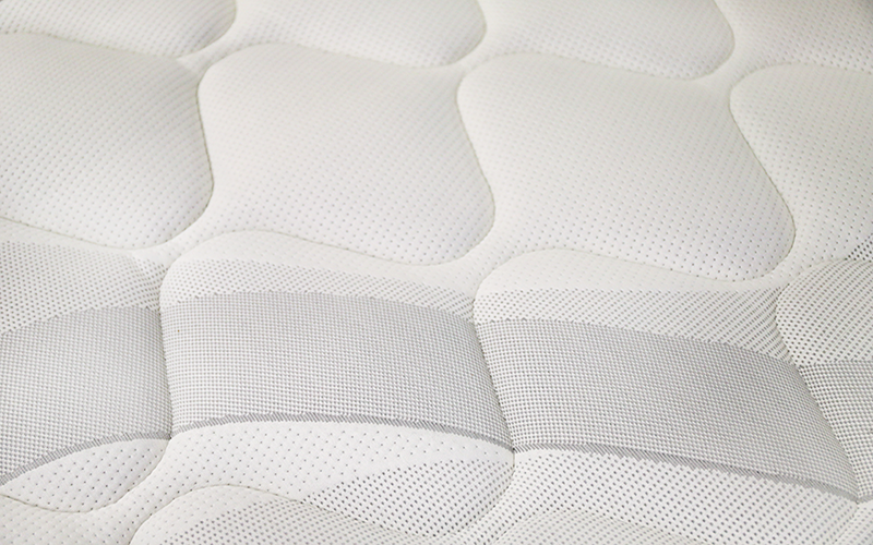 Windsor Backcare